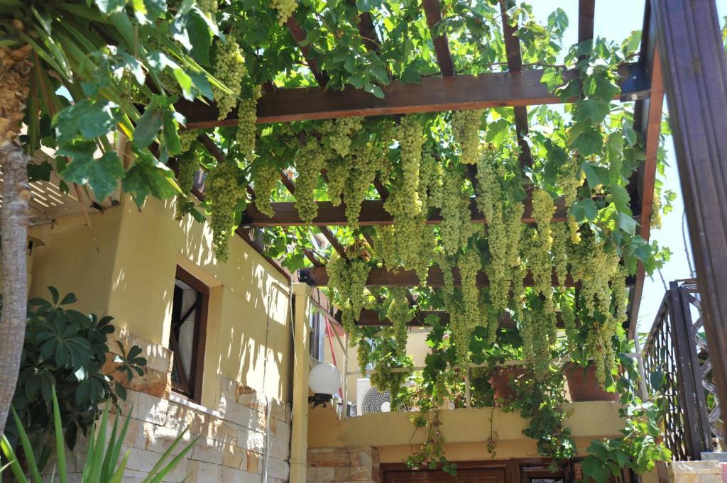 Sofia Pension Rhodes City Luaran gambar