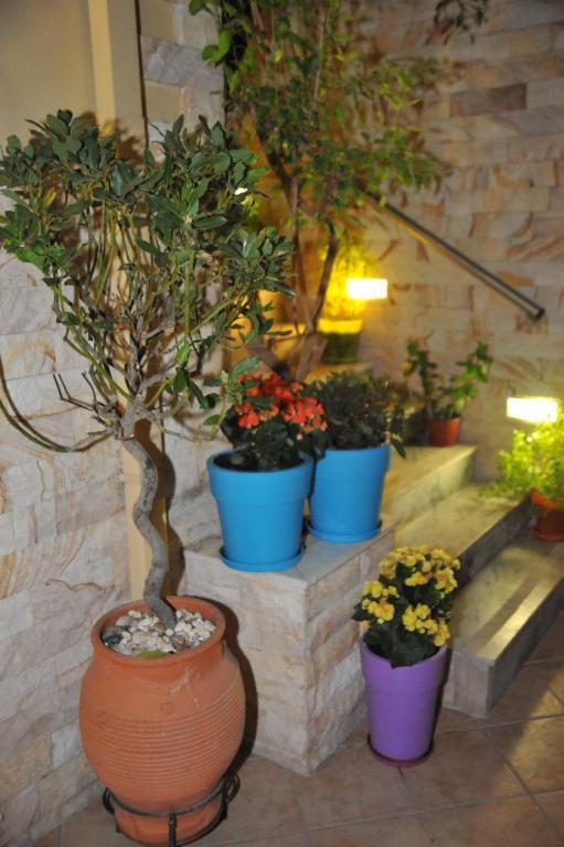 Sofia Pension Rhodes City Luaran gambar